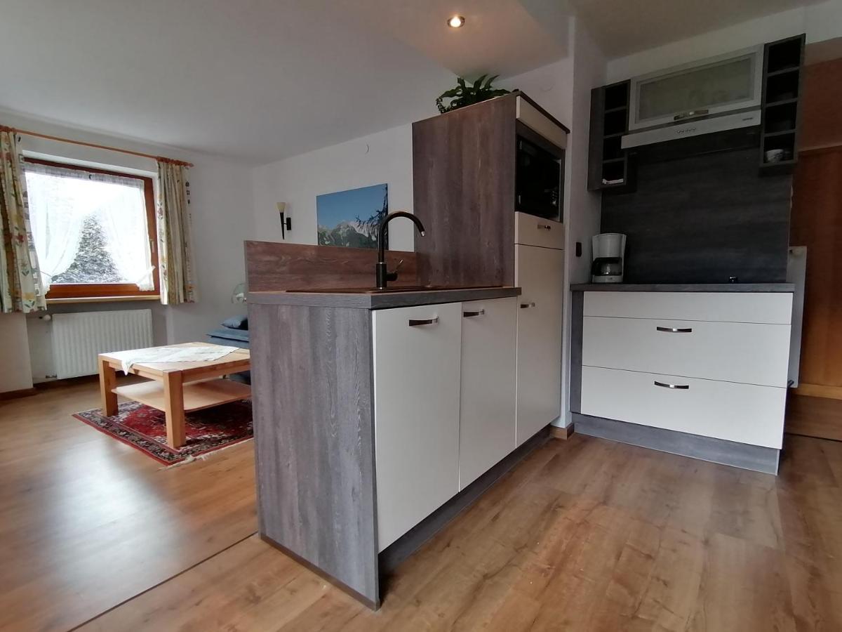 Appartement Ebster 佩特诺伊阿尔贝格 外观 照片